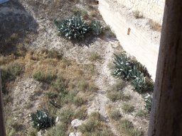 Castillo de Mula 2010